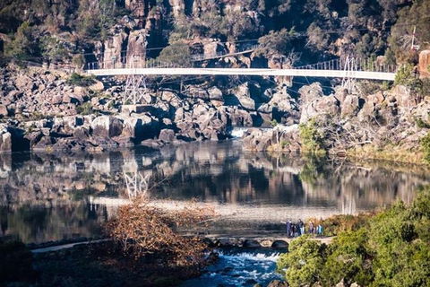 3.5 Hours Walking Tour To Cataract Gorge With Local Guide - Accommodation in Surfers Paradise 2