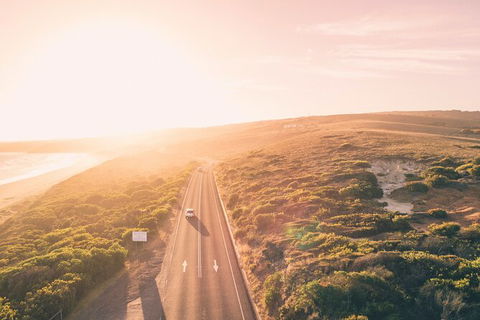 LGBT+ Friendly 2 Day Private Great Ocean Road Tour - Accommodation in Surfers Paradise 1