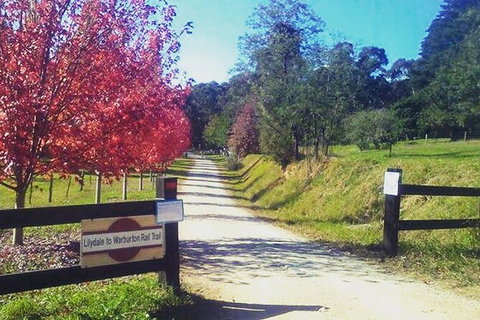 Aqueduct And Rail Trail Self-Guided Bike Tour In Warburton - Accommodation in Surfers Paradise 4