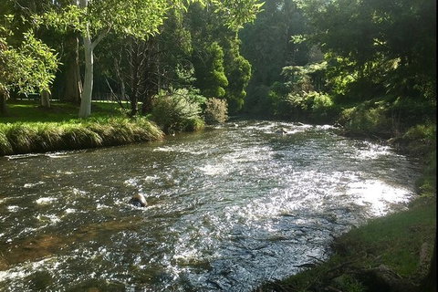 Watertube Experience In Yarra River - Accommodation in Surfers Paradise 3