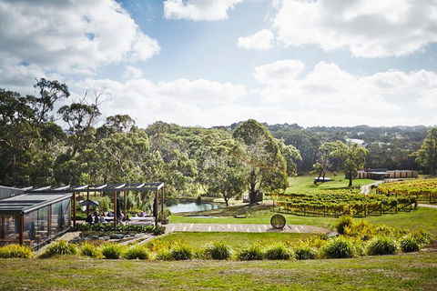 Mornington Peninsula 2-6 Guests Lunch At Merricks General Wine Store Or RareHare - Accommodation in Surfers Paradise 1