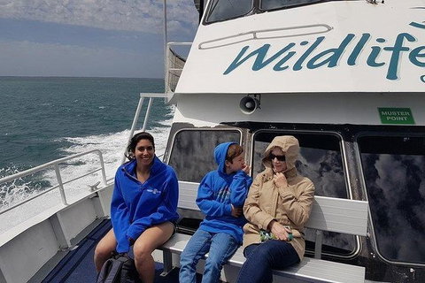 Phillip Island Penguin And Wildlife Tour - Accommodation in Surfers Paradise 15