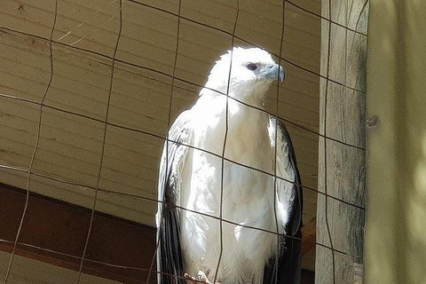 Phillip Island Penguin And Wildlife Tour - Accommodation in Surfers Paradise 21