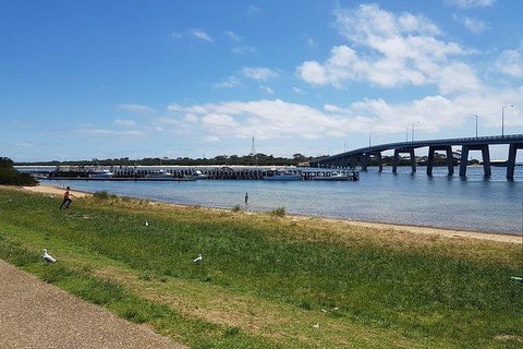 Phillip Island Penguin And Wildlife Tour - Accommodation in Surfers Paradise 24