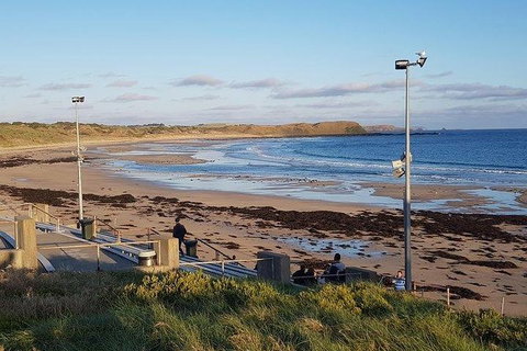 Phillip Island Penguin And Wildlife Tour - Accommodation in Surfers Paradise 8