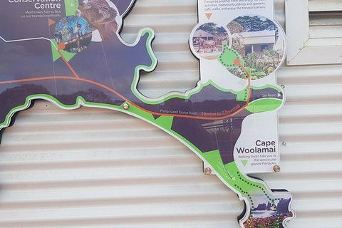 Phillip Island Penguin And Wildlife Tour - Accommodation in Surfers Paradise 29