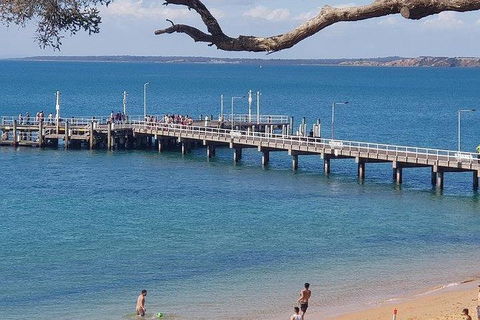 Phillip Island Penguin And Wildlife Tour - Accommodation in Surfers Paradise 2