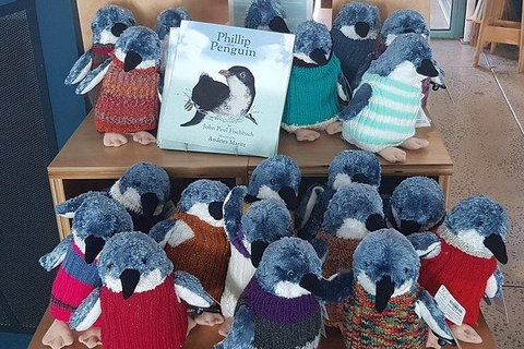 Phillip Island Penguin And Wildlife Tour - Accommodation in Surfers Paradise 27