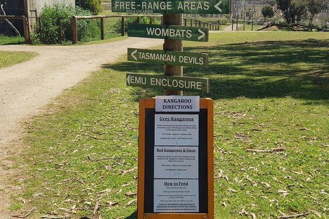 Phillip Island Penguin And Wildlife Tour - Accommodation in Surfers Paradise 4