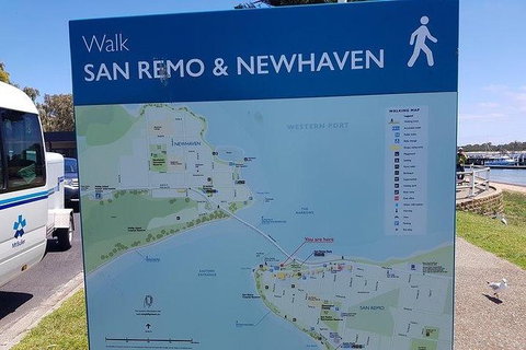 Phillip Island Penguin And Wildlife Tour - Accommodation in Surfers Paradise 35