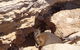 Shipwreck Special Full Day Tour Of The Abrolhos Islands - thumb 1