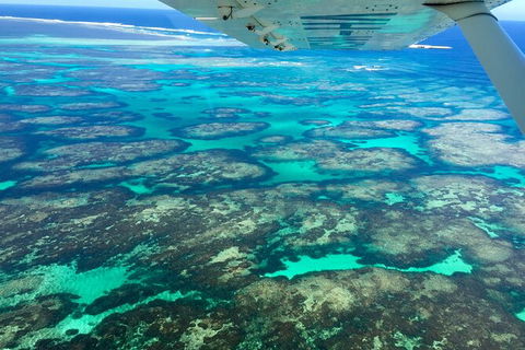 Shipwreck Special Full Day Tour Of The Abrolhos Islands - Accommodation in Surfers Paradise 5
