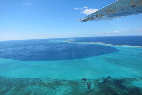 Shipwreck Special Full Day Tour Of The Abrolhos Islands - Accommodation in Surfers Paradise 2