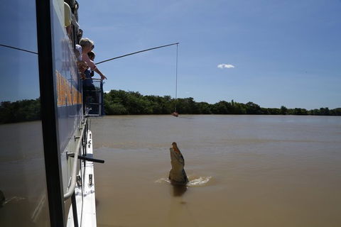Darwin City Sights And Jumping Crocodile Cruise - Accommodation in Surfers Paradise 2