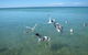 Pink Lake + Abrolhos Islands Nature Tour - thumb 4