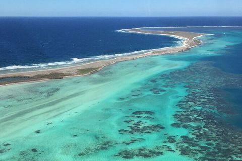 Pink Lake + Abrolhos Islands Nature Tour - Accommodation in Surfers Paradise 1