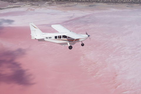 Pink Lake + Abrolhos Islands Nature Tour - Accommodation in Surfers Paradise 3