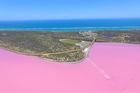 Pink Lake + Abrolhos Islands Nature Tour - Accommodation in Surfers Paradise 0