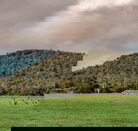 Baldwins Bluff Guided Hike - Accommodation in Surfers Paradise