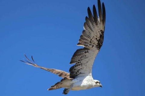 Romance Aircraft Flight + Scenic Tour + 3 Course Lunch + Beer Tasting + Hamper - Accommodation in Surfers Paradise 4