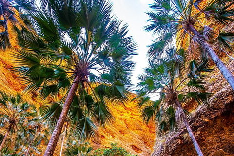 Bungles Day Trek Extended (with Echidna Chasm) - Accommodation in Surfers Paradise 1