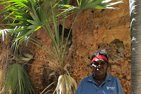 Bungles Day Trek Extended (with Echidna Chasm) - Accommodation in Surfers Paradise 2