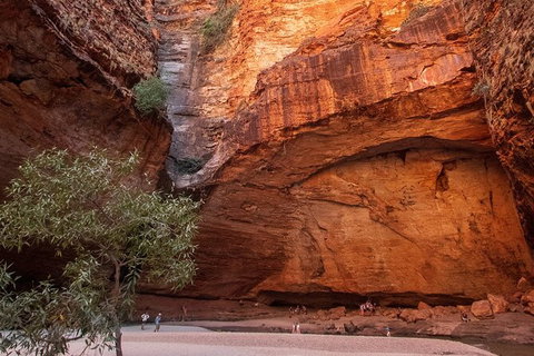Bungles Day Trek Extended (with Echidna Chasm) - Accommodation in Surfers Paradise 0