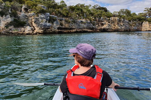 Cliffs And Caves Kayak Tour In Swan River - Accommodation in Surfers Paradise 1