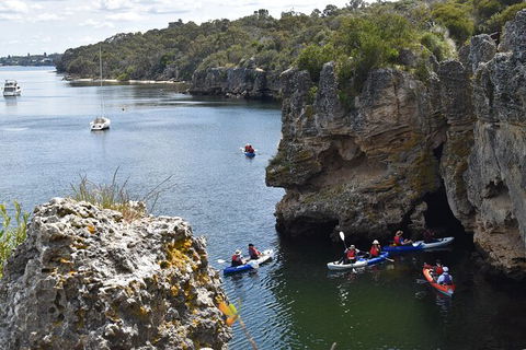 Cliffs And Caves Kayak Tour In Swan River - Accommodation in Surfers Paradise 2