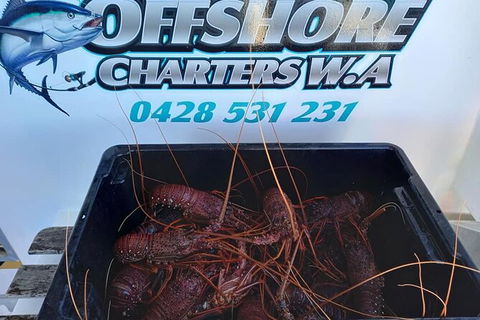 Lobster Fishing Tour At Geraldton - Accommodation in Surfers Paradise 0