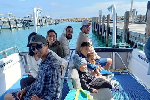 Whale Watching Boat Tour In Geraldton - Accommodation in Surfers Paradise 1