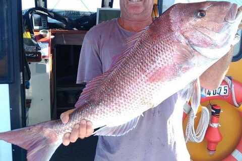 Geraldton Fishing Charter - Accommodation in Surfers Paradise 10