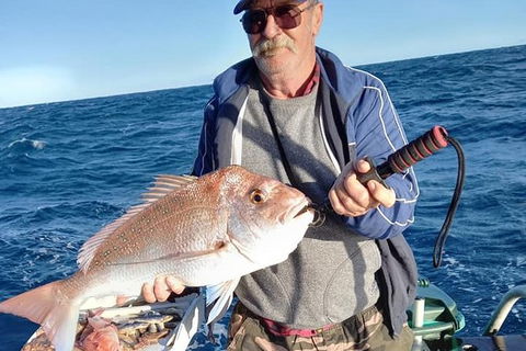 Geraldton Fishing Charter - Accommodation in Surfers Paradise 8