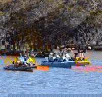 Private Guided River Kayak Tour - Accommodation in Surfers Paradise