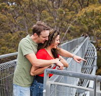 Valley of the Giants Tree Top Walk - Accommodation in Surfers Paradise
