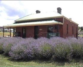 Snowy Mountains NSW Accommodation in Surfers Paradise