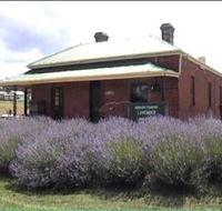 Lavender House in Railway Park - Accommodation in Surfers Paradise