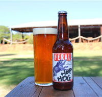 Feral Brewing Company - Accommodation in Surfers Paradise