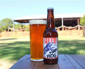 Feral Brewing Company - Accommodation in Surfers Paradise 0