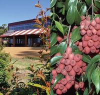 Bushfood Factory and Cafe - Accommodation in Surfers Paradise