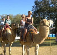 Calamunnda Camel Farm - Accommodation in Surfers Paradise
