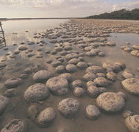 Lake Clifton Thrombolites - Accommodation in Surfers Paradise