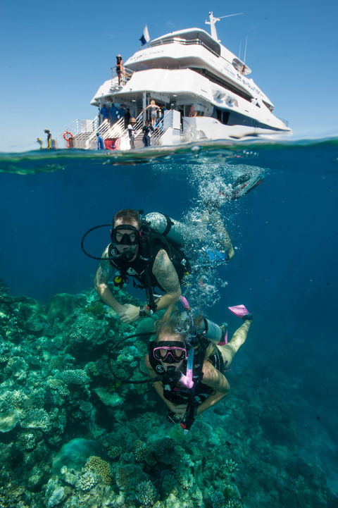 Down Under Cruise And Dive - Accommodation in Surfers Paradise 0