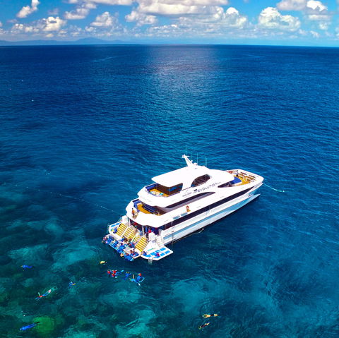 Down Under Cruise And Dive - Accommodation in Surfers Paradise 1