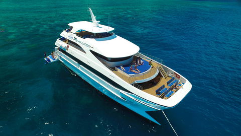 Down Under Cruise And Dive - Accommodation in Surfers Paradise 2