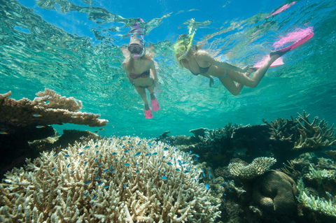 Down Under Cruise And Dive - Accommodation in Surfers Paradise 4