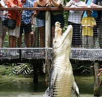 Hartley's Crocodile Adventures - Accommodation in Surfers Paradise