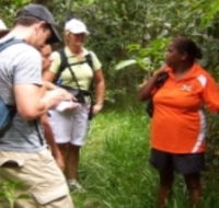 Ingan Tours - Spirit of the Rainforest Tour - Accommodation in Surfers Paradise