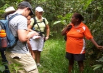Ingan Tours - Spirit Of The Rainforest Tour - Accommodation in Surfers Paradise 0