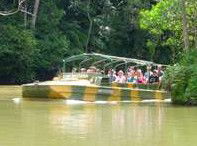 Rainforestation Nature Park - Accommodation in Surfers Paradise 4